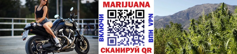 Бошки марихуана индика  darknet официальный сайт  Реутов 